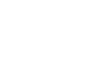 Logo Blin