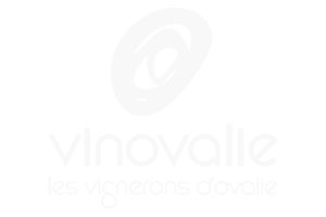 vinovalie logo