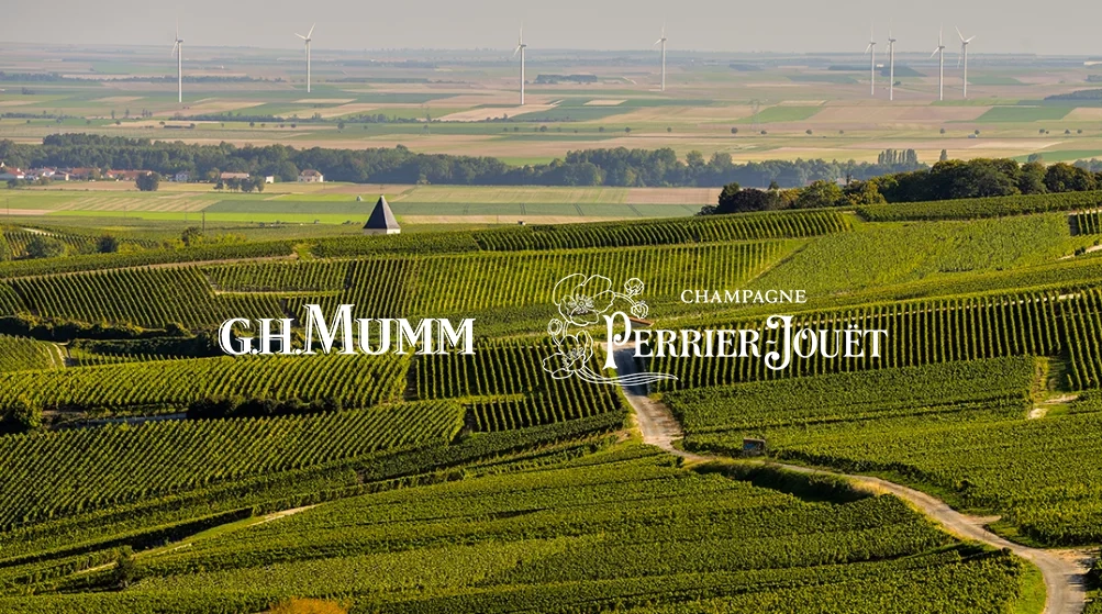 Témoignage mumm perrier jouet pour les solutions viticoles iD Systemes