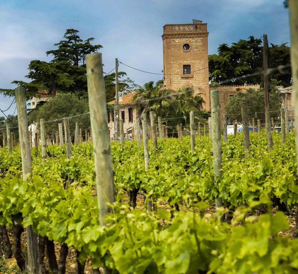 Domaine Lafage